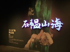 -国家自然博物馆