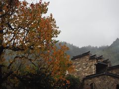 -塔川景区