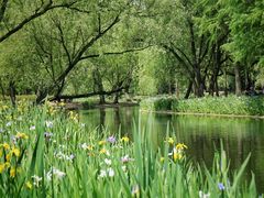 -上海共青森林公园