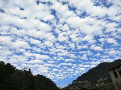 -宁海安岚·南溪阁全日餐厅
