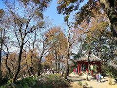 -广州市石门国家森林公园