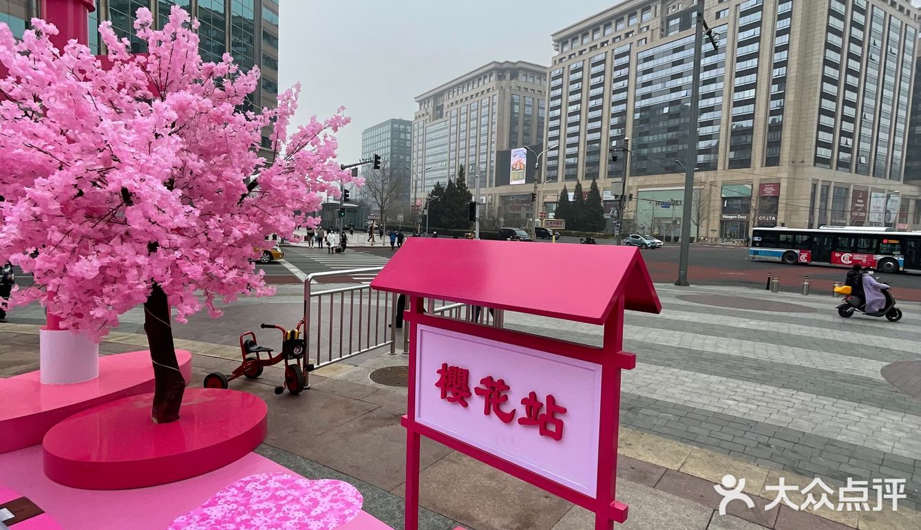 满树樱花朵朵开，花花世界的，出来逛街啊