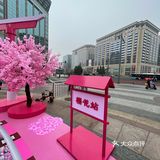 满树樱花朵朵开，花花世界的，出来逛街啊