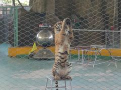 -泉州海丝野生动物世界