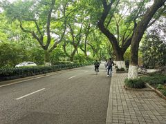 -她说户外烧烤团建(西湖店)