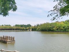 -塘沽森林公园