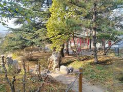 -北京植物园南门售票处