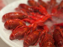 -红盔甲·小龙虾(天钥桥店)