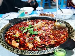 -蛙鲜到美蛙鱼头
