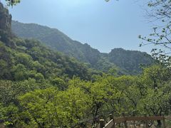 -大岭沟猕猴桃谷风景区