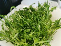 豆苗-海底捞火锅(油麻地店)