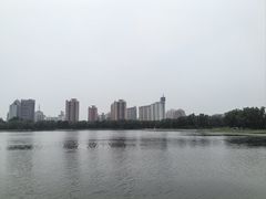 -莲花池公园
