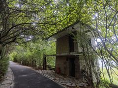 -华侨城湿地公园