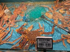 -甬上名灶(天一阁·翠柏店)
