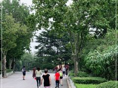 -青岛德国总督楼旧址博物馆