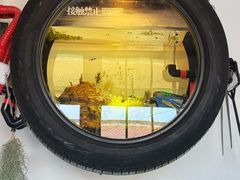 -陶野咖啡·面包披萨