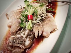 -骏莱海鲜鱼港(五角场店)