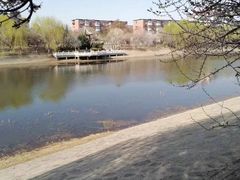 -桃花堤公园