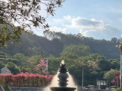 -东南花都花博园