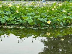 -成都市文化公园