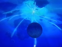 -海昌极光餐厅