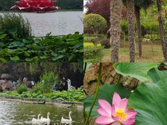 -洛阳市隋唐城遗址植物园