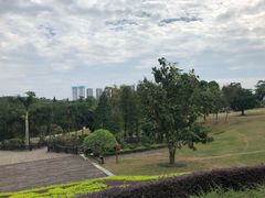 -广西壮族自治区药用植物园
