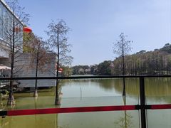 -鹿鸣酒家(越秀店)