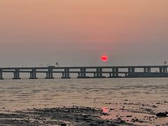 -宝安西湾红树林湿地公园