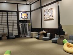 -逗柴咖啡屋·狗咖猫咖宠物桌游