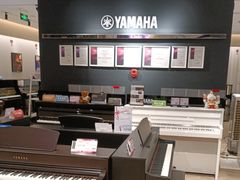 -雅歌音乐培训中心·钢琴培训·乐器培训(交道口店)