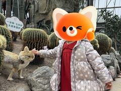 -南山植物园