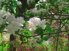 -元大都城垣遗址公园