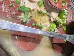-鸽子窝(青塔店)