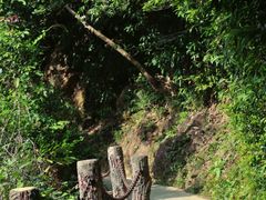 -梧桐山风景名胜区