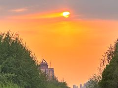 -大望京公园