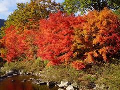 -丹东天桥沟景区