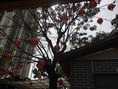 -绿雅居原生态农庄(小涌店)