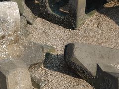 -东疆建设开发纪念公园