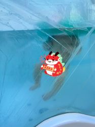 -东方爱堡国际母婴会所(廊坊首店广阳店)