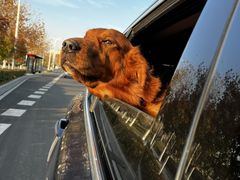 -南京市无想山景区