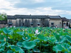 -苏家围·东江画廊旅游景区