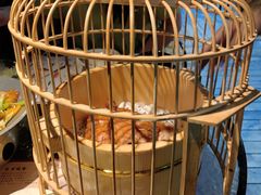 -胡桃里音乐酒馆(白云五号T5 MALL店)