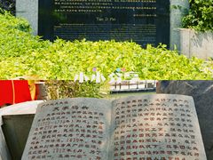 -珠江夜游天字码头