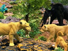 -KKV(深圳宏发大仟里店)