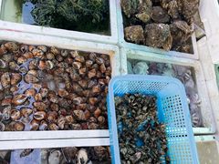 -外伶仃岛海鲜市场