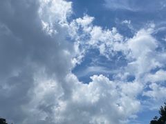 -石台牯牛降景区