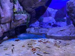 -多彩贵州城极地海洋世界