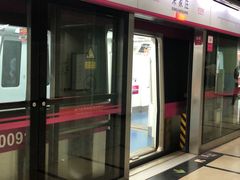 -宋家庄(地铁站)