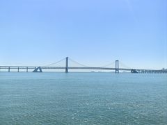 -星海湾跨海大桥